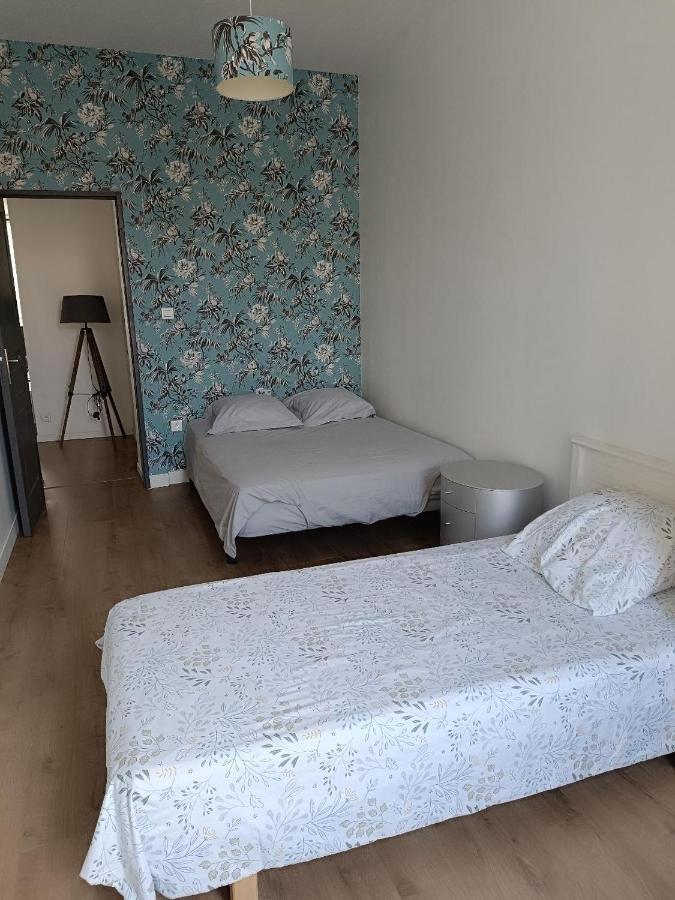 Logement 5 Personnes Proche Cv Et Parking Prive Apartment Saint-Etienne  Exterior photo
